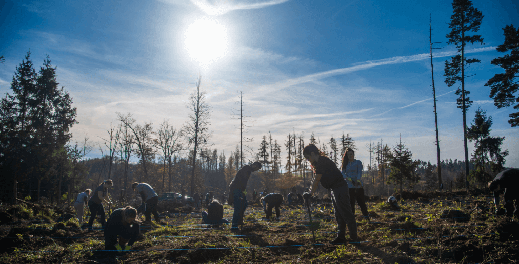 Projekt Sázíme Česko má nový program, spolupráce s odborníky a ambiciózní cíl 10 873 553 stromů za rok